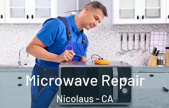  Microwave Repair Nicolaus - CA