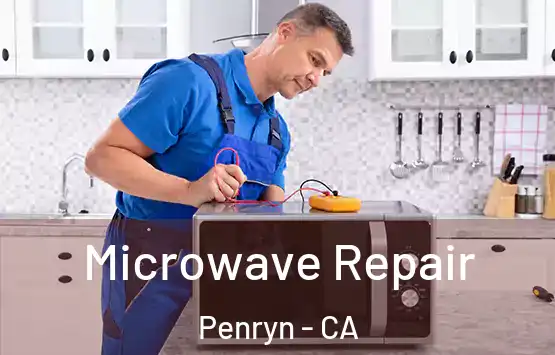  Microwave Repair Penryn - CA