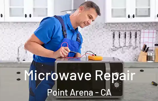  Microwave Repair Point Arena - CA