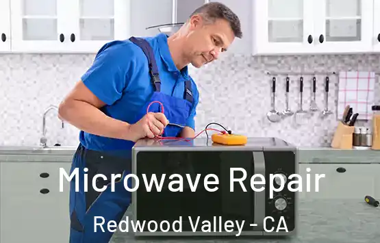  Microwave Repair Redwood Valley - CA
