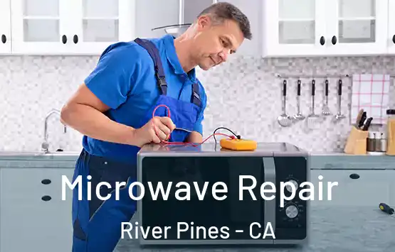  Microwave Repair River Pines - CA