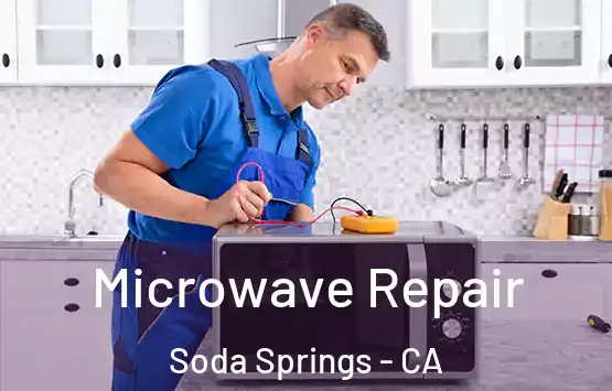  Microwave Repair Soda Springs - CA