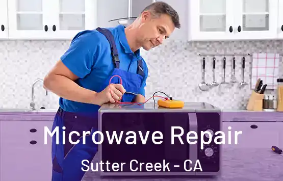  Microwave Repair Sutter Creek - CA