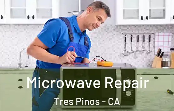  Microwave Repair Tres Pinos - CA