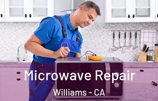  Microwave Repair Williams - CA