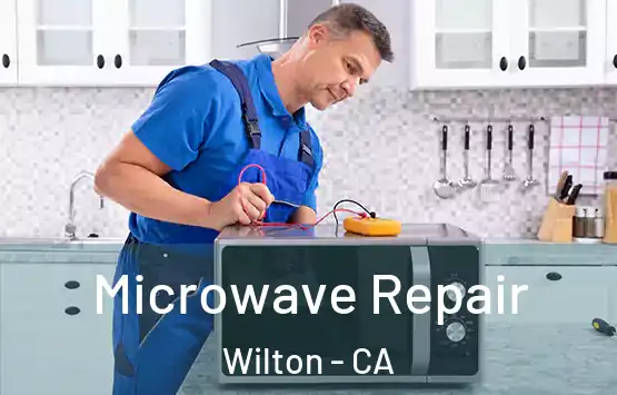  Microwave Repair Wilton - CA