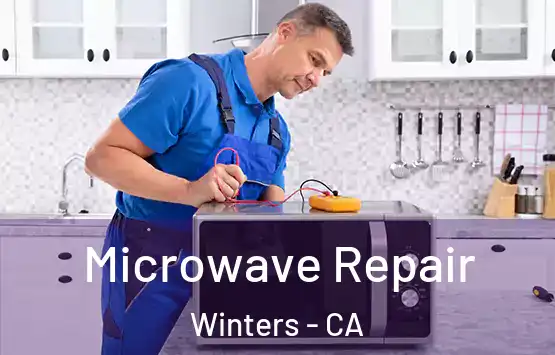  Microwave Repair Winters - CA