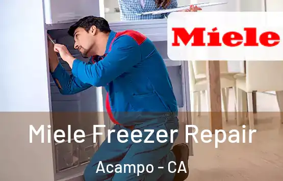  Miele Freezer Repair Acampo - CA