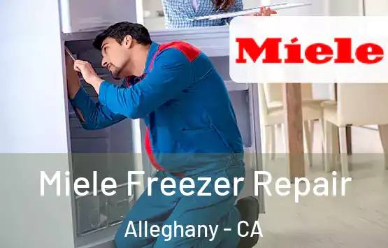  Miele Freezer Repair Alleghany - CA
