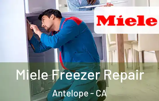  Miele Freezer Repair Antelope - CA