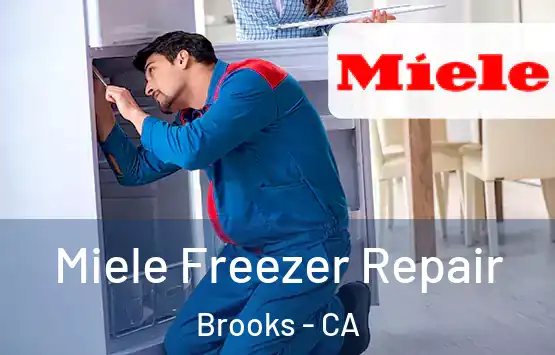  Miele Freezer Repair Brooks - CA