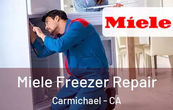  Miele Freezer Repair Carmichael - CA
