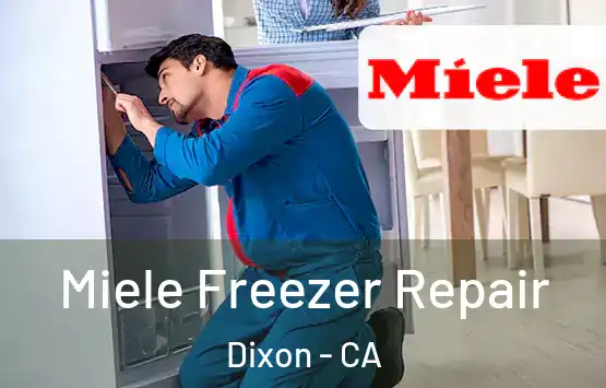  Miele Freezer Repair Dixon - CA