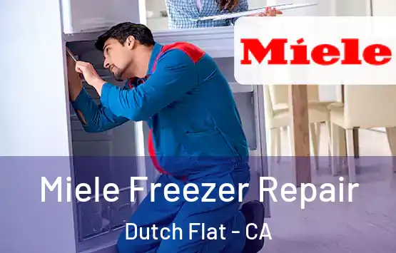  Miele Freezer Repair Dutch Flat - CA