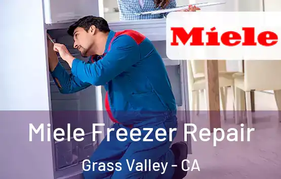 Miele Freezer Repair Grass Valley - CA