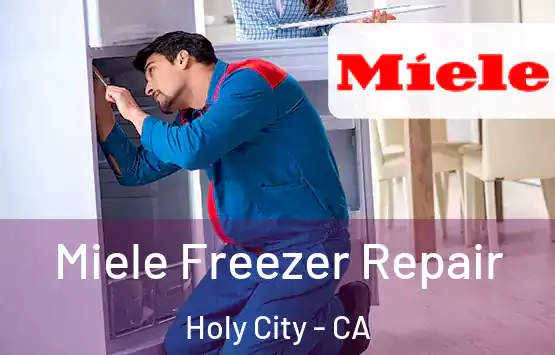  Miele Freezer Repair Holy City - CA
