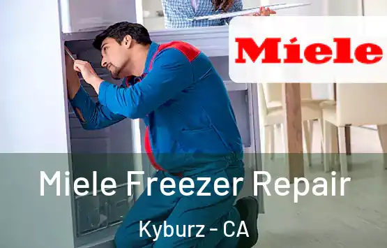 Miele Freezer Repair Kyburz - CA