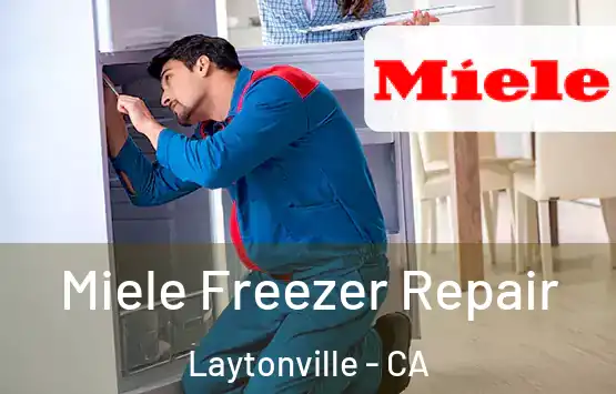  Miele Freezer Repair Laytonville - CA