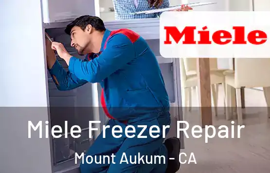  Miele Freezer Repair Mount Aukum - CA