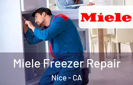  Miele Freezer Repair Nice - CA