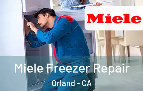  Miele Freezer Repair Orland - CA