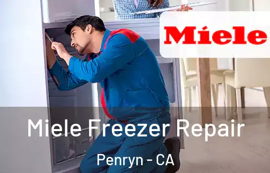  Miele Freezer Repair Penryn - CA