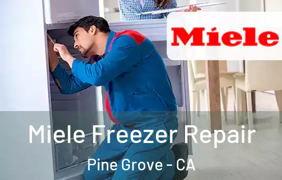  Miele Freezer Repair Pine Grove - CA
