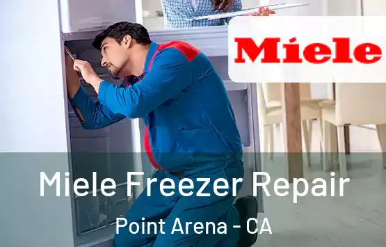  Miele Freezer Repair Point Arena - CA