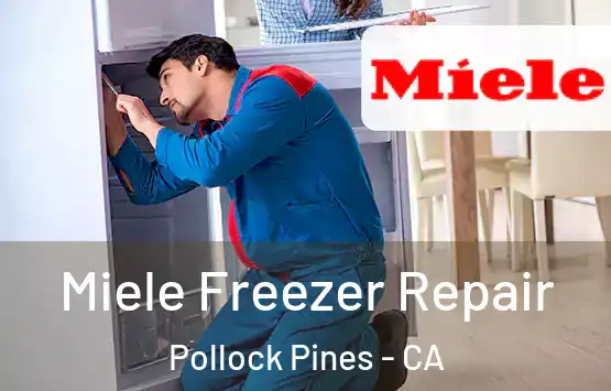  Miele Freezer Repair Pollock Pines - CA
