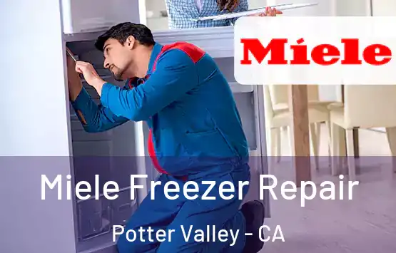  Miele Freezer Repair Potter Valley - CA