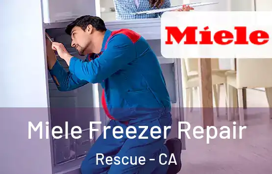  Miele Freezer Repair Rescue - CA