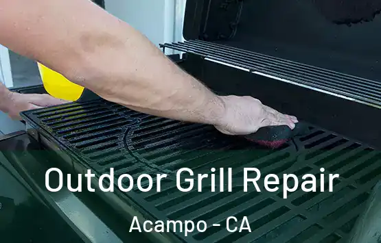  Outdoor Grill Repair Acampo - CA