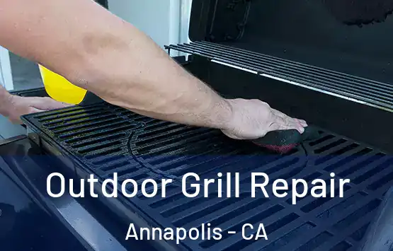  Outdoor Grill Repair Annapolis - CA