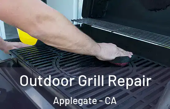  Outdoor Grill Repair Applegate - CA