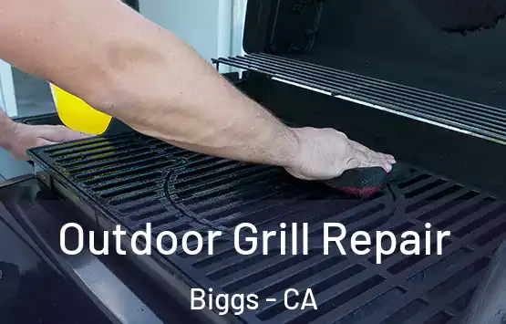  Outdoor Grill Repair Biggs - CA