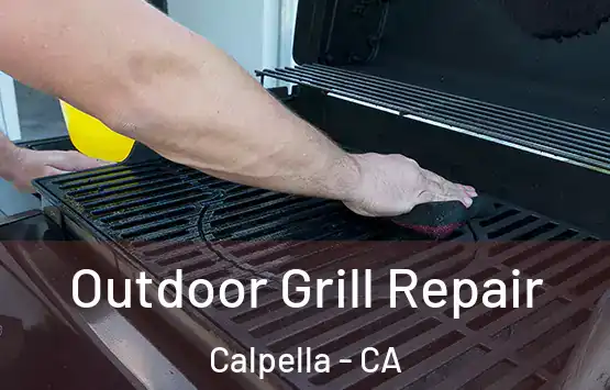 Outdoor Grill Repair Calpella - CA