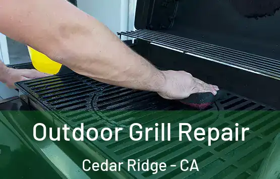 Outdoor Grill Repair Cedar Ridge - CA