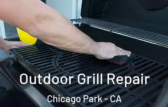  Outdoor Grill Repair Chicago Park - CA