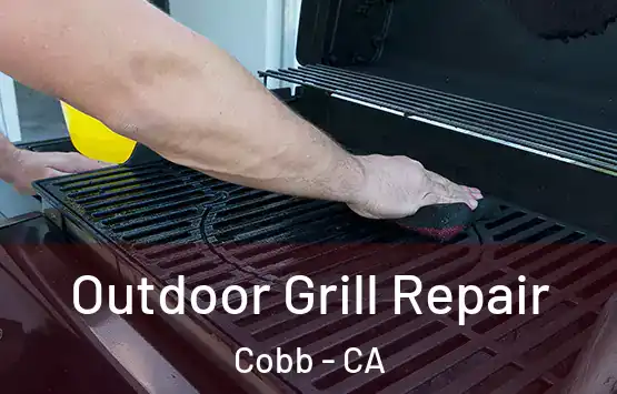  Outdoor Grill Repair Cobb - CA