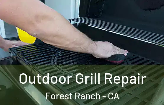  Outdoor Grill Repair Forest Ranch - CA