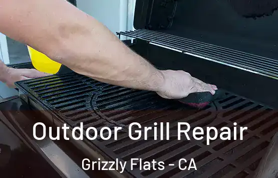  Outdoor Grill Repair Grizzly Flats - CA