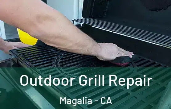  Outdoor Grill Repair Magalia - CA