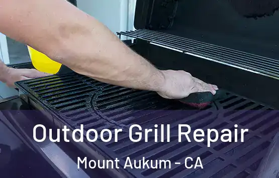  Outdoor Grill Repair Mount Aukum - CA