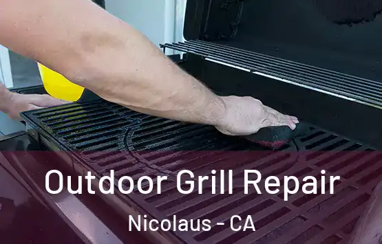  Outdoor Grill Repair Nicolaus - CA
