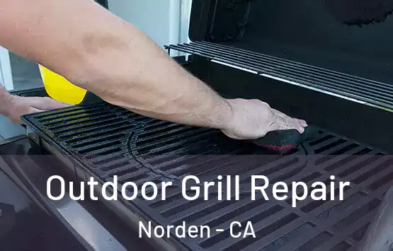  Outdoor Grill Repair Norden - CA