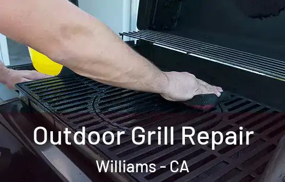  Outdoor Grill Repair Williams - CA