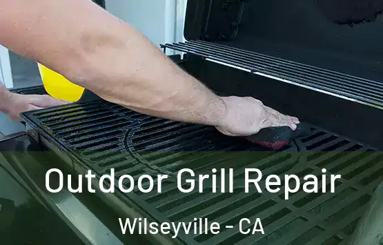  Outdoor Grill Repair Wilseyville - CA