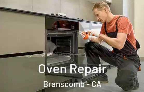  Oven Repair Branscomb - CA