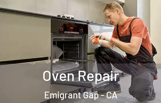  Oven Repair Emigrant Gap - CA