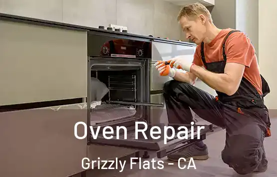  Oven Repair Grizzly Flats - CA